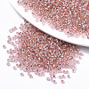 Glass Seed Beads X1-SEED-S042-04A-04-1