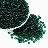 FGB Transparent Glass Seed Beads SEED-N013-01A-06-1