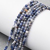 Natural Blue Spot Jasper Beads Strands G-Z116-A02-2mm-1