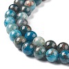 Natural Apatite Beads G-E481-05-10mm-01-4