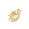 Brass Charms KK-P340-01G-O-2