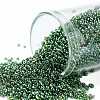 TOHO Round Seed Beads X-SEED-TR15-0322-1