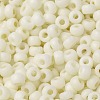 MIYUKI Round Rocailles Beads SEED-G008-RR2021-3