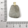 Natural Labradorite Pendants G-C282-03F-3