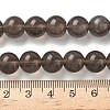 Natural Ice Obsidian Beads Strands G-P590-A03-10mm-01-3