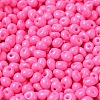 6/0 Opaque Baking Paint Glass Seed Beads X1-SEED-M012-02A-22-3