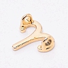 Alloy Charms PALLOY-WH0088-13LG-3