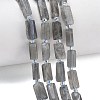 Natural Labradorite Beads Strands G-C270-K19-01-1