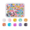 300Pcs 10 Colors Natural Freshwater Shell Beads SHEL-TA0001-06-22