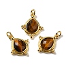 Natural Tiger Eye Faceted Pendants G-C096-02G-06-1