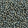 TOHO 11/0 Round Beads X-SEED-TR11-PF0512F-2