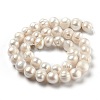 Natural Cultured Freshwater Pearl Beads Strands PEAR-L033-27-01-3