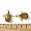 Natural Tiger Eye Pendants KK-F888-01G-27-3