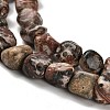 Natural Leopard Skin Jasper Beads Strands G-P497-01E-93-4