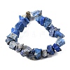 Natural Lapis Lazuli Beads Strands G-I283-F21-3