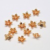 5-Petal Flower Brass Bead Caps KK-L137-08G-NR-1
