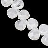 Natural Quartz Crystal Beads Strands X-G-T006-15-4