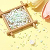 2 Sets Glass Seed Beads DIY-FS0008-27B-8