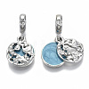 Alloy European Dangle Charms MPDL-N039-009-1