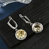 925 Sterling Silver Micro Pave Cubic Zirconia Hoop Earrings EJEW-B147-01A-04-3