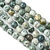 Natural Tree Agate Round Gemstone Beads Strands G-R255-10mm-3