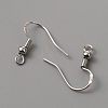 Brass Earring Hooks KK-WH0044-58-2