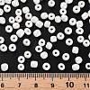 6/0 Glass Seed Beads SEED-N005-002A-F03-4