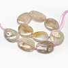 Natural Cherry Blossom Agate Beads Strands G-P319-13A-2