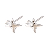 Brass Micro Pave Clear Cubic Zirconia Star Stud Earrings EJEW-L278-02P-4
