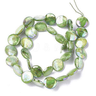 Freshwater Shell Beads Strands SHEL-S274-52B-1