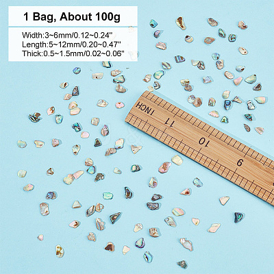 1 Bags Abalone Shell Flakes Cabochons SHEL-GA0001-17A-1