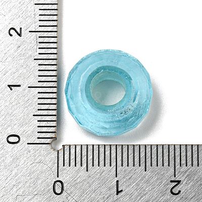 Glass European Beads LS-GLAA-XCP0001-43H-1