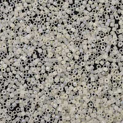Cylinder Seed Beads X-SEED-H001-F08-1