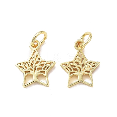 Rack Plating Brass Charms KK-F849-05G-1