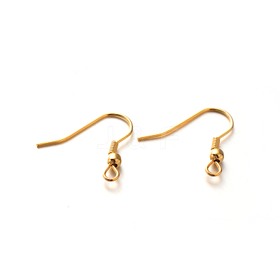 304 Stainless Steel Earring Hooks STAS-E088-19-1