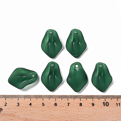 Transparent Frosted Acrylic Pendants MACR-S371-03A-735-1