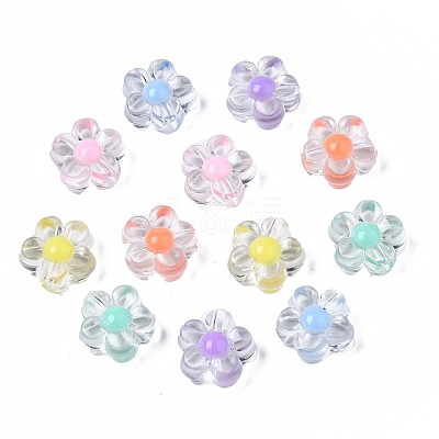 Transparent Acrylic Beads TACR-S135-013-1