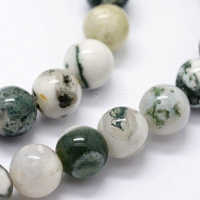 Natural Tree Agate Beads Strands G-I199-03-10mm-1