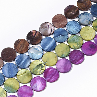 Freshwater Shell Beads Strands SHEL-T014-011-1