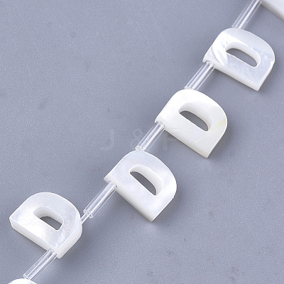Natural Sea Shell Beads SHEL-T012-60D-1