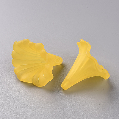 Transparent Acrylic Beads BSF796-C09-1