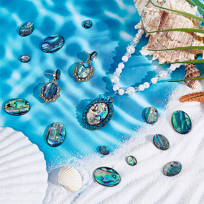 18Pcs 3 Styles Natural Paua Shell Cabochons SSHEL-PH0001-43-1