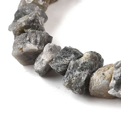 Natural Labradorite Beads Strands G-I283-F14-1