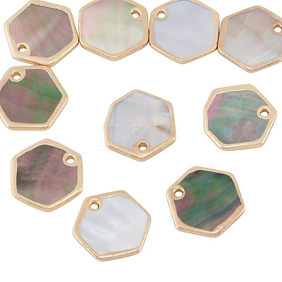 10Pcs Natural Black Lip Shell Hexagon Charms BSHE-TA0001-25-1