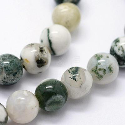 Natural Tree Agate Beads Strands G-I199-03-6mm-1