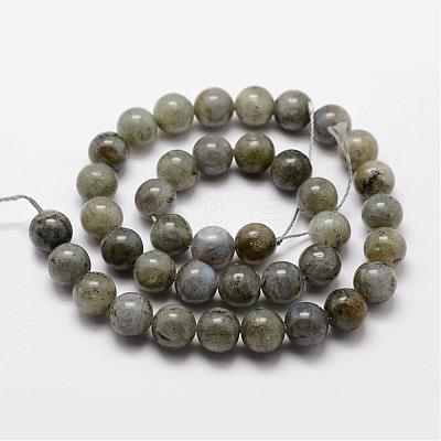 Natural Labradorite Bead Strands G-O155-05A-8mm-1