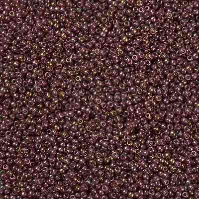MIYUKI Round Rocailles Beads X-SEED-G008-RR0301-1
