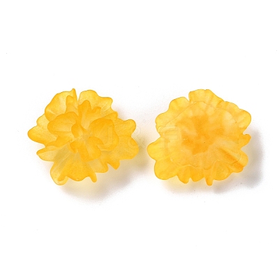 Transparent Resin Cabochons LS-RESI-G027-01C-1