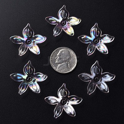 Transparent Acrylic Beads MACR-S373-102-C02-1