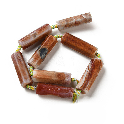 Natural Fire Crackle Agate Beads Strands G-P605-J02-01-1